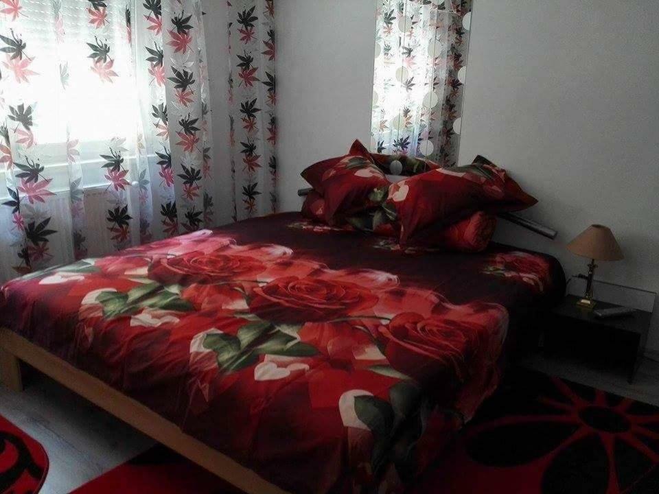Apartament Ela Elegance Apartman Orsova Kültér fotó