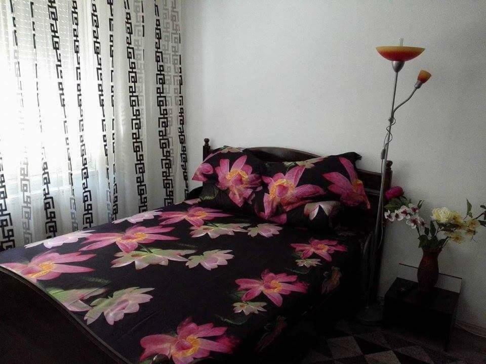 Apartament Ela Elegance Apartman Orsova Kültér fotó